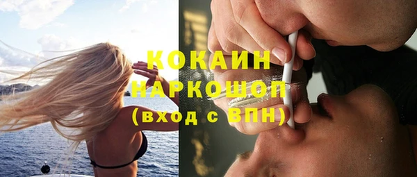 твердый Магас