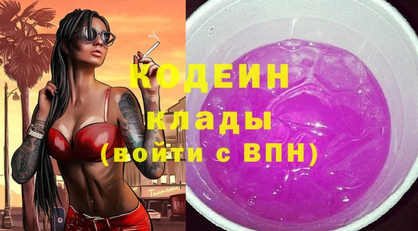 твердый Магас