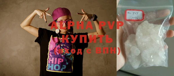 твердый Магас
