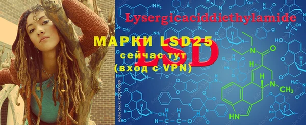 твердый Магас