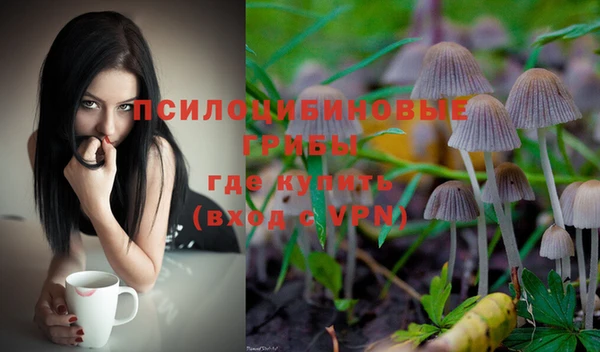 твердый Магас