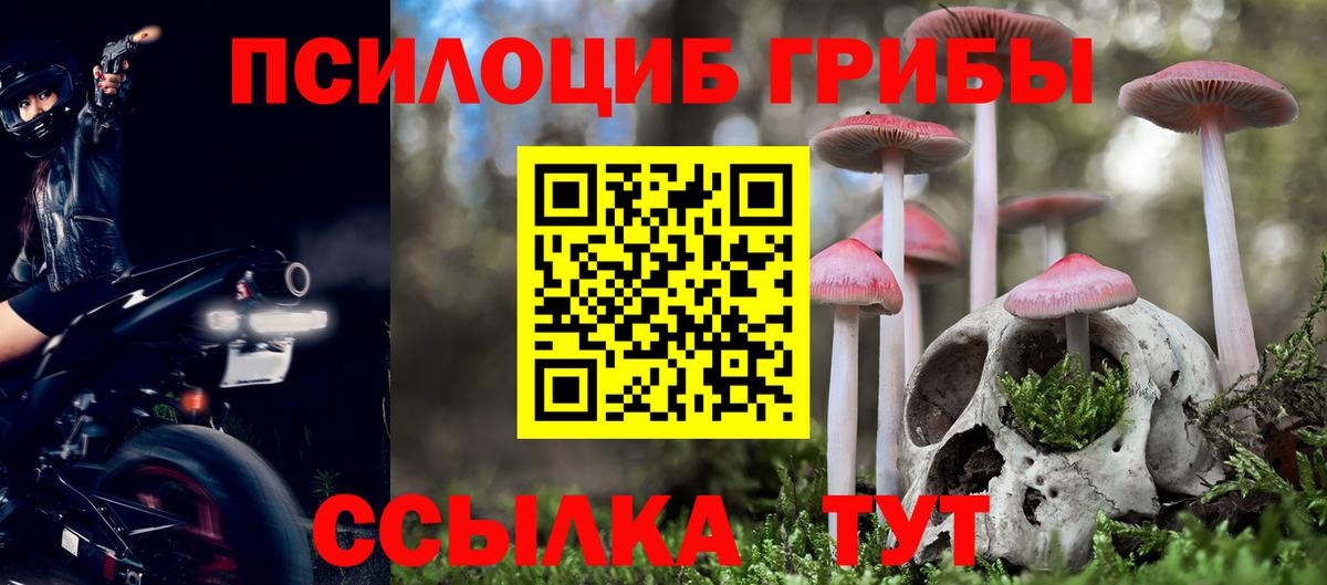 купить закладку  Галлюциногенные грибы прущие грибы  Вход с VPN  Карабулак 