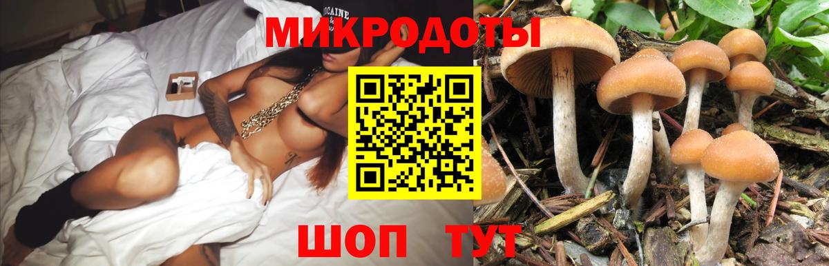 Галлюциногенные грибы ЛСД Карабулак